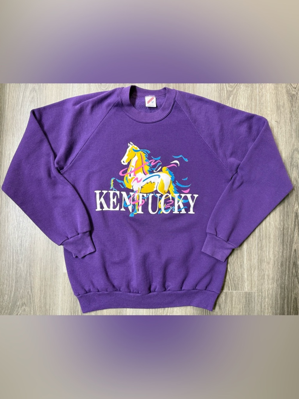 Vintage 90s Kentucky Horse Graphic Crewneck Purple USA Large Cozy Derby Retro